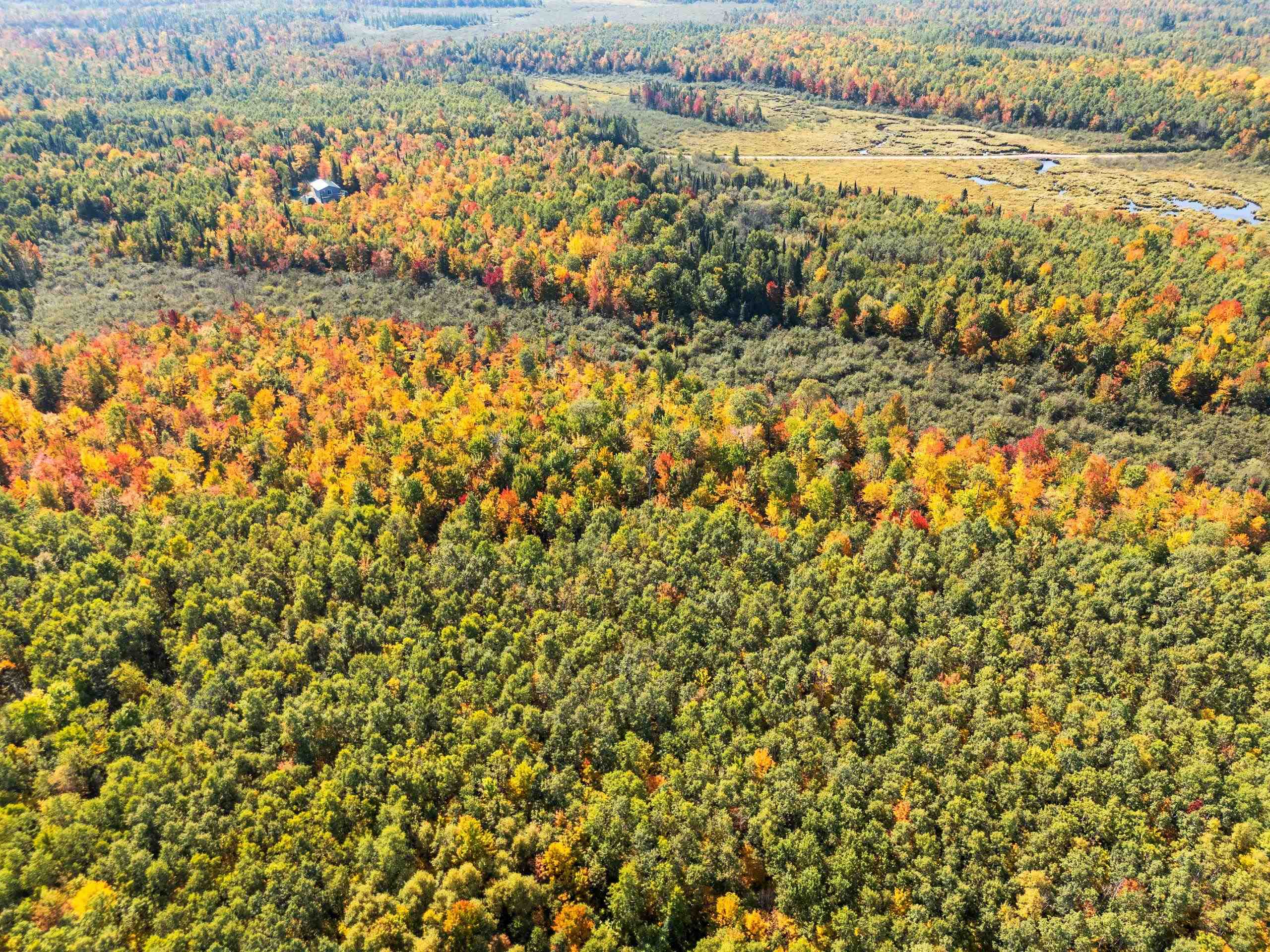 W7456 Coffee Creek Road Tomahawk, WI 54487 - Photo 63 of 70