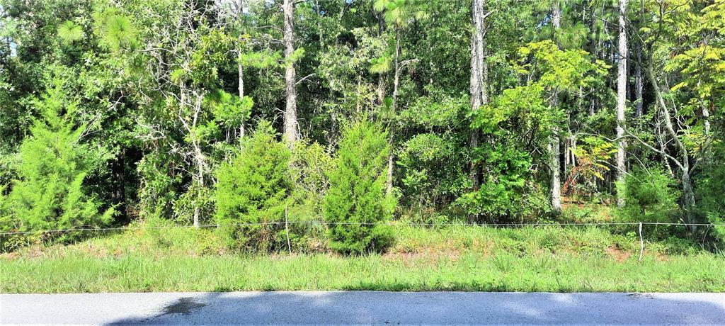 Jumper Loop Spring Hill Spring Hill, FL 34609 - Photo 1 of 1