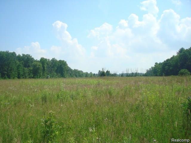 1881 Wheeling Road Imlay City, MI 48444 - Photo 11 of 12 Gallery Image 11