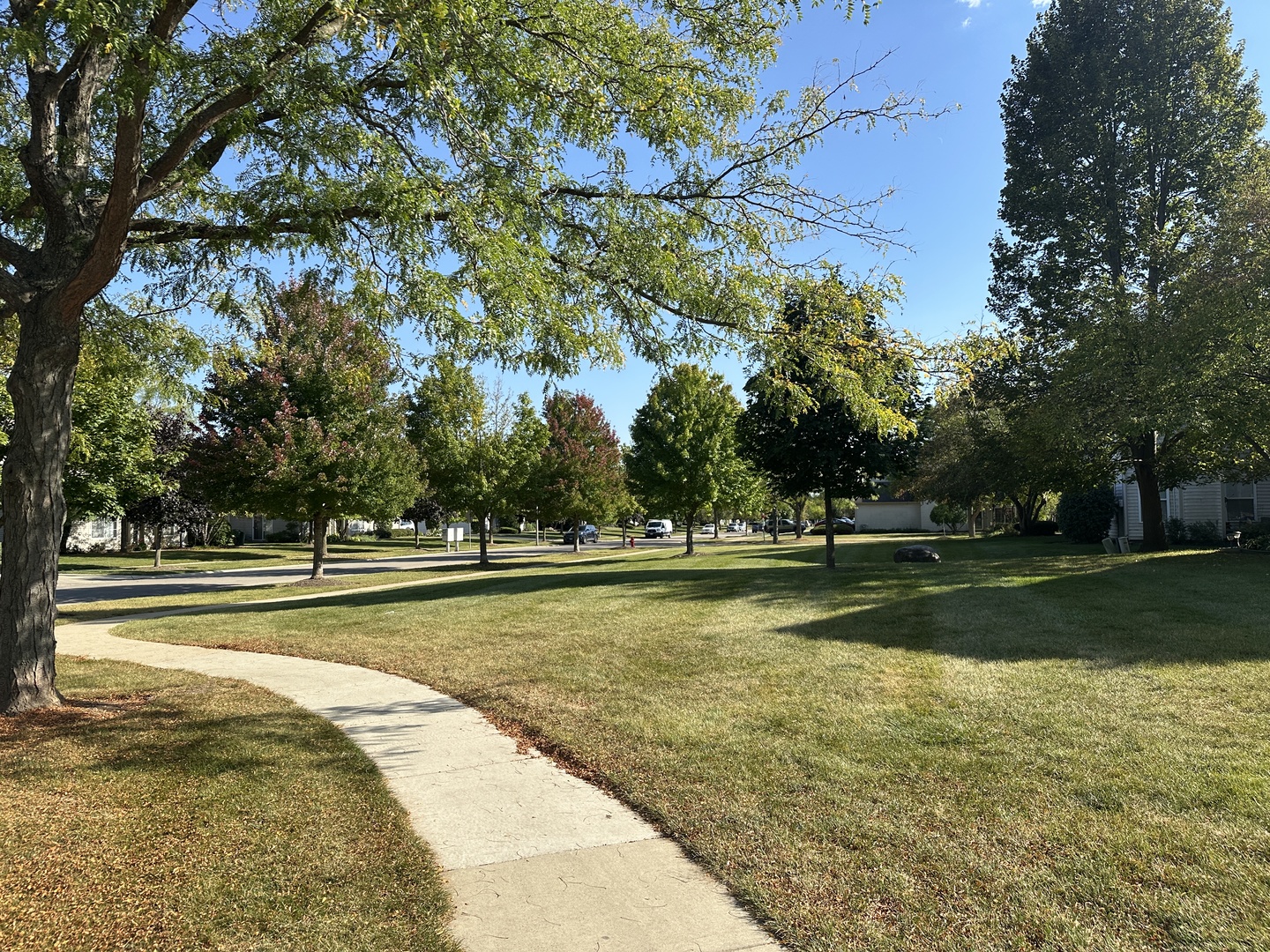 3503 Blue Ridge Court, Unit 3503 Carpentersville, IL 60110 - Photo 9 of 9 a view of swimming pool with a yard and trees