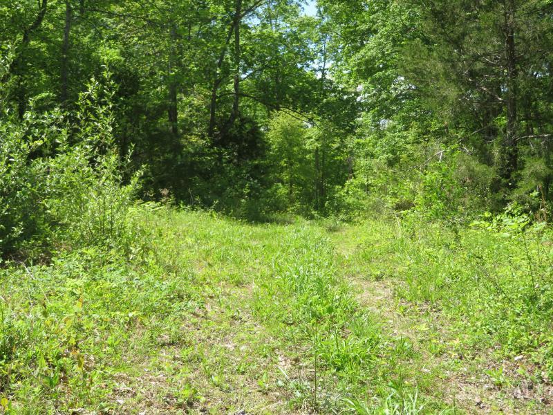 1505 Newland Ridge Road Waverly, OH 45690 - Photo 32 of 35