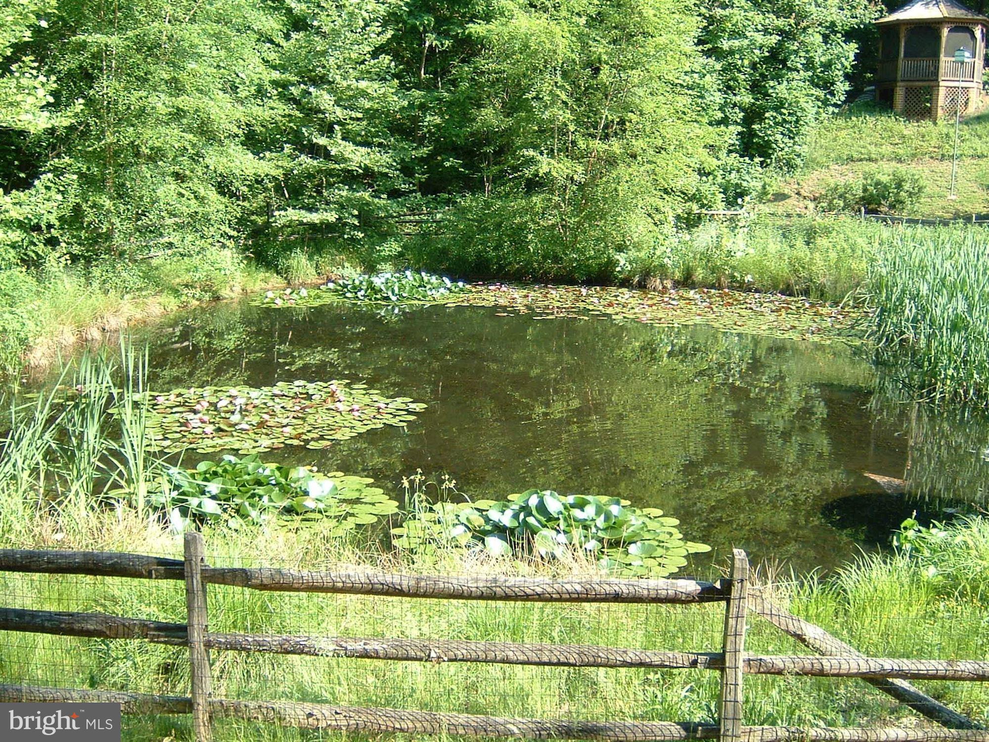 6800 Rannoch Road Bethesda, MD 20817 - Photo 38 of 53 Summer view of pond