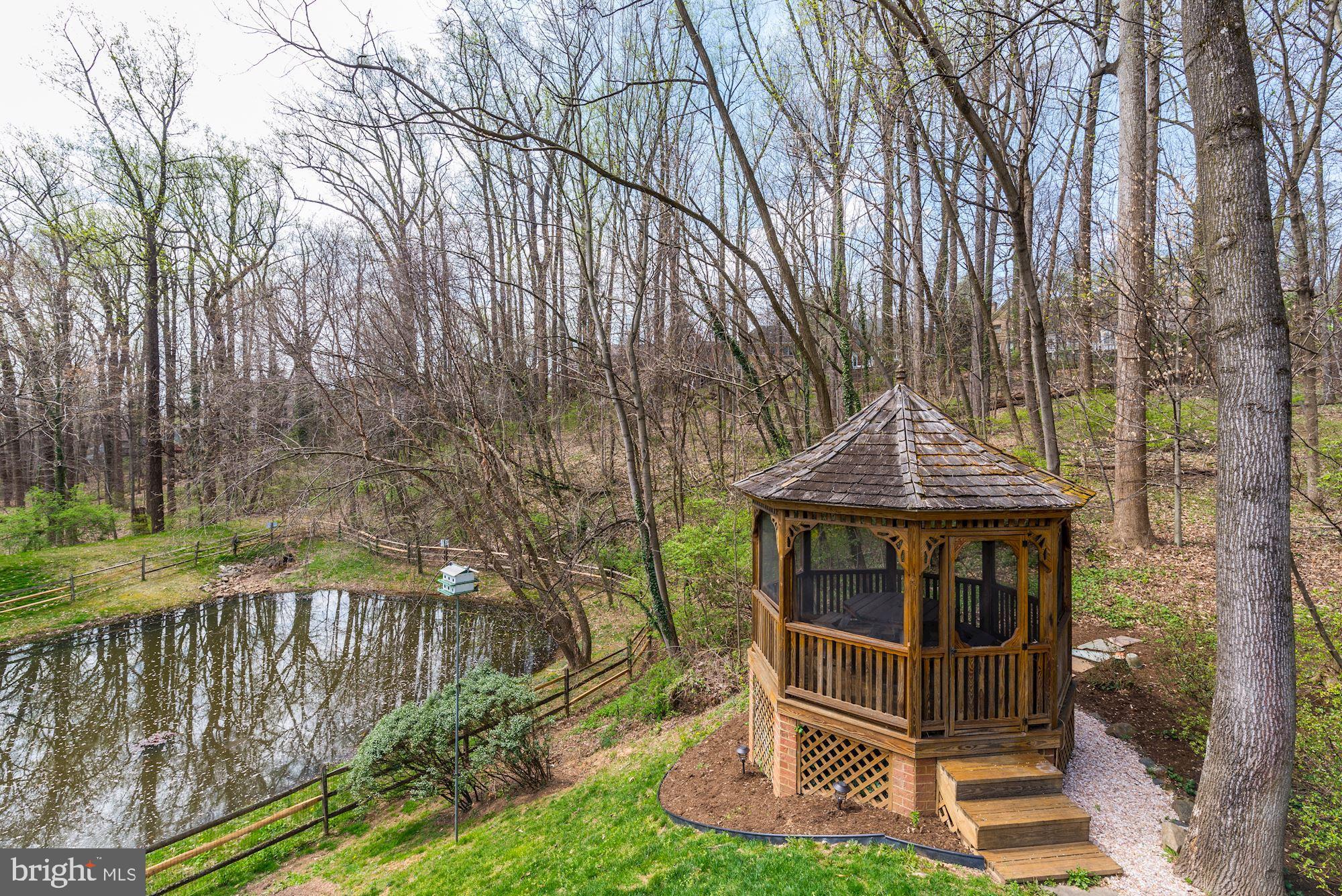 6800 Rannoch Road Bethesda, MD 20817 - Photo 47 of 53 Winter view of pond
