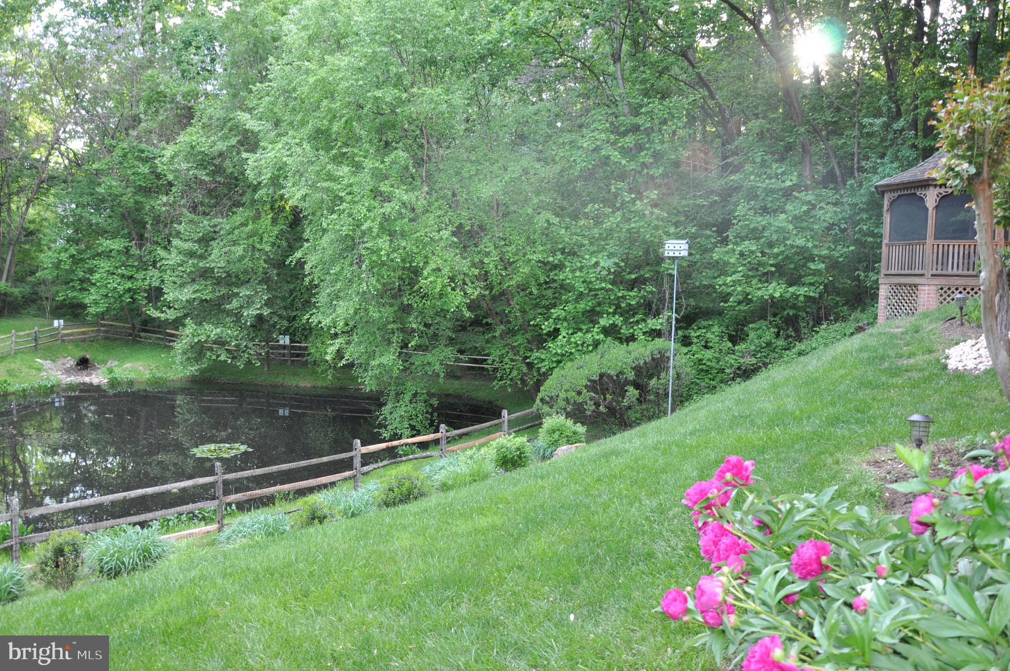 6800 Rannoch Road Bethesda, MD 20817 - Photo 50 of 53 Beautiful pond view year round!