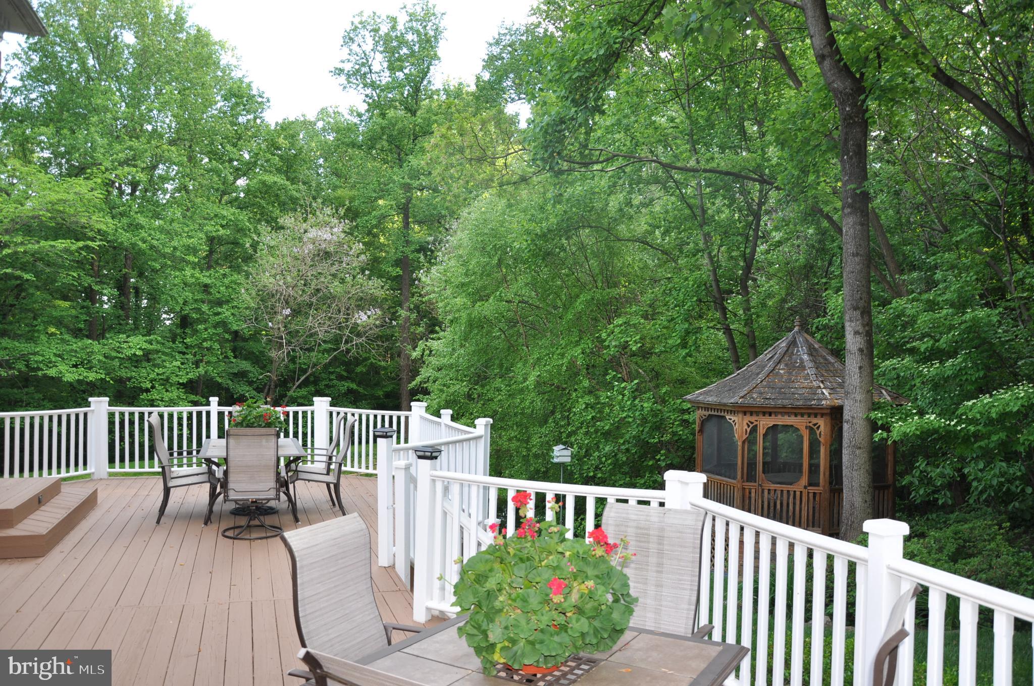 6800 Rannoch Road Bethesda, MD 20817 - Photo 8 of 53 Private garden with tree and pond views