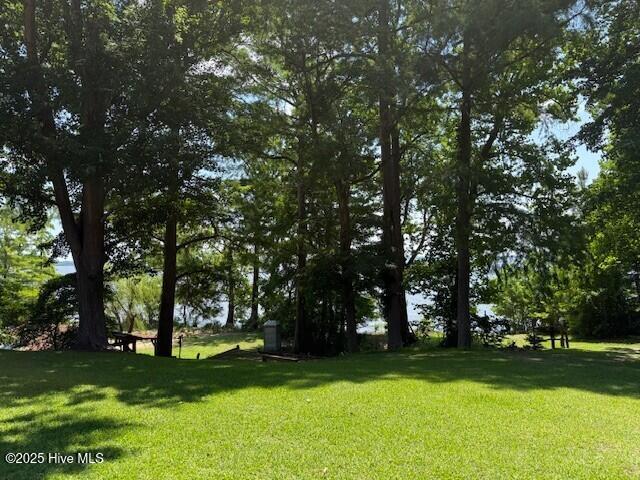 242 Sheep Landing Road Merry Hill, NC 27957 - Photo 25 of 26 yard (2)