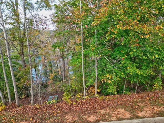 $500,000 | 549 Riverstone Drive, Salem, SC 29676