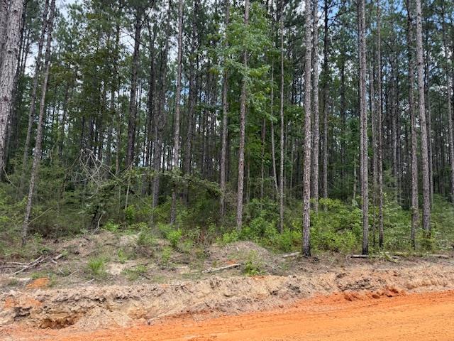 0 Tract Road Carriere, MS 39426 - Photo 1 of 1 Main View