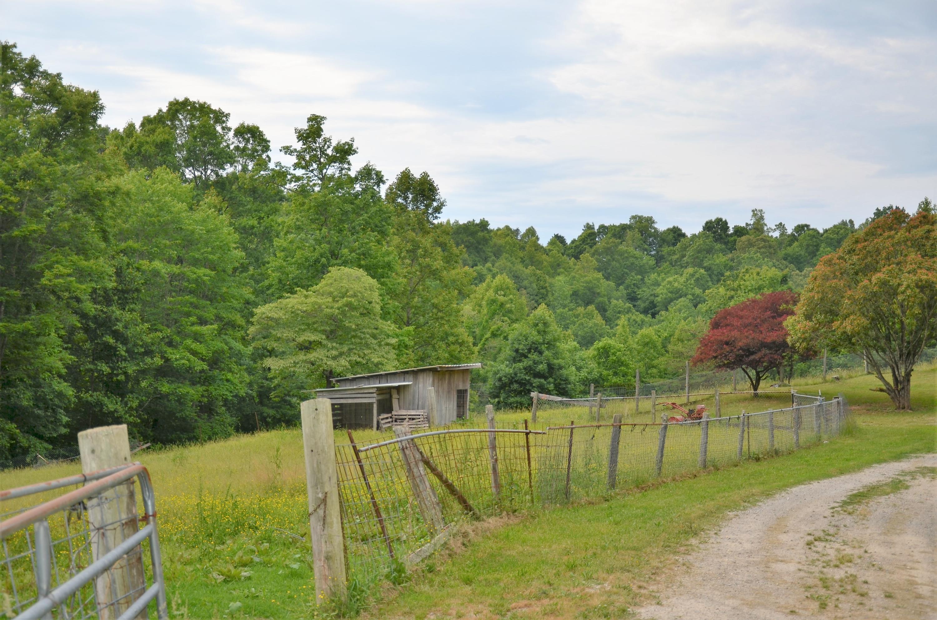 3653 Pinecrest Road Jacksboro, TN 37757 - Photo 23 of 36 DSC_3062