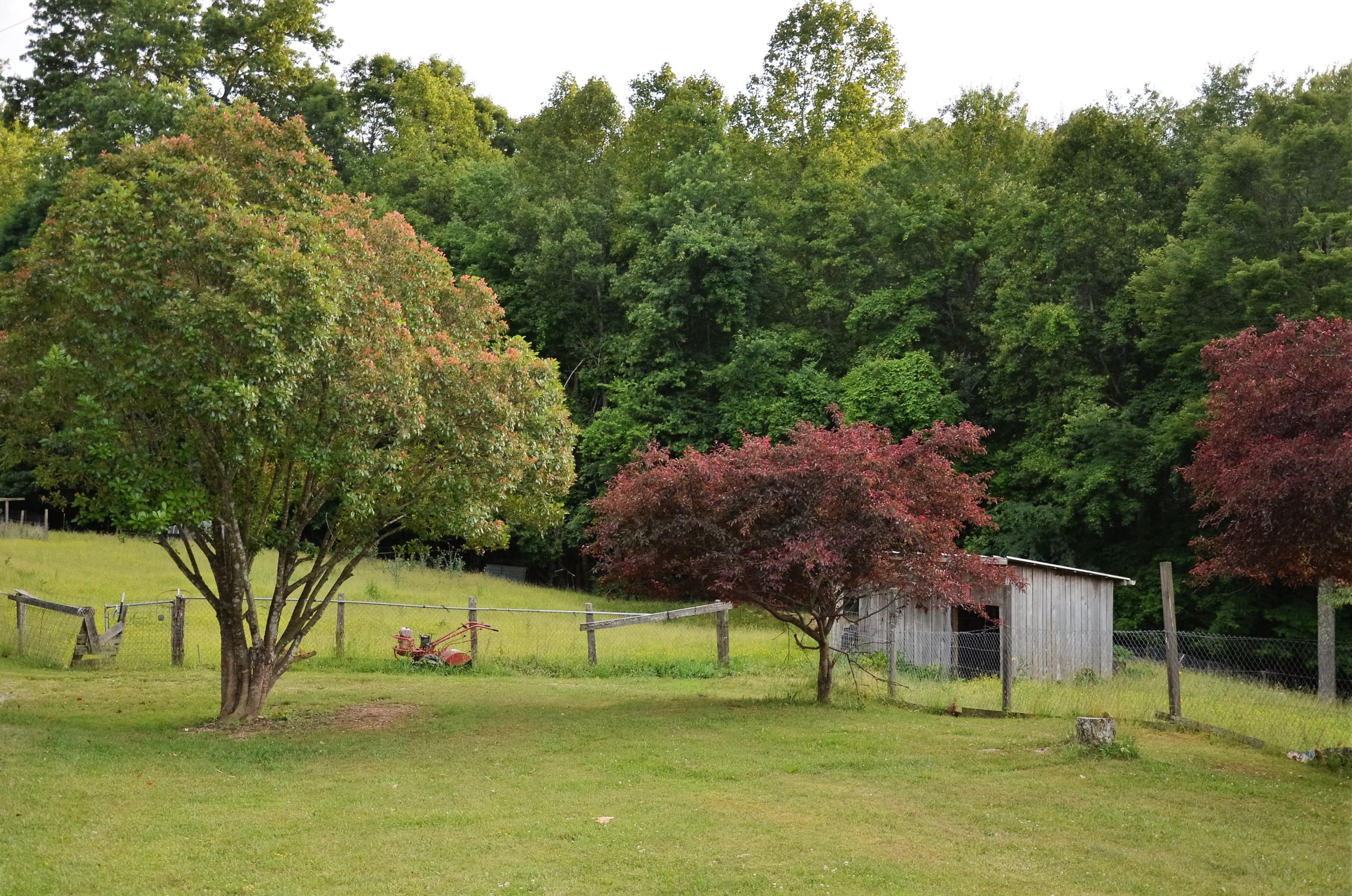3653 Pinecrest Road Jacksboro, TN 37757 - Photo 24 of 36 DSC_3087