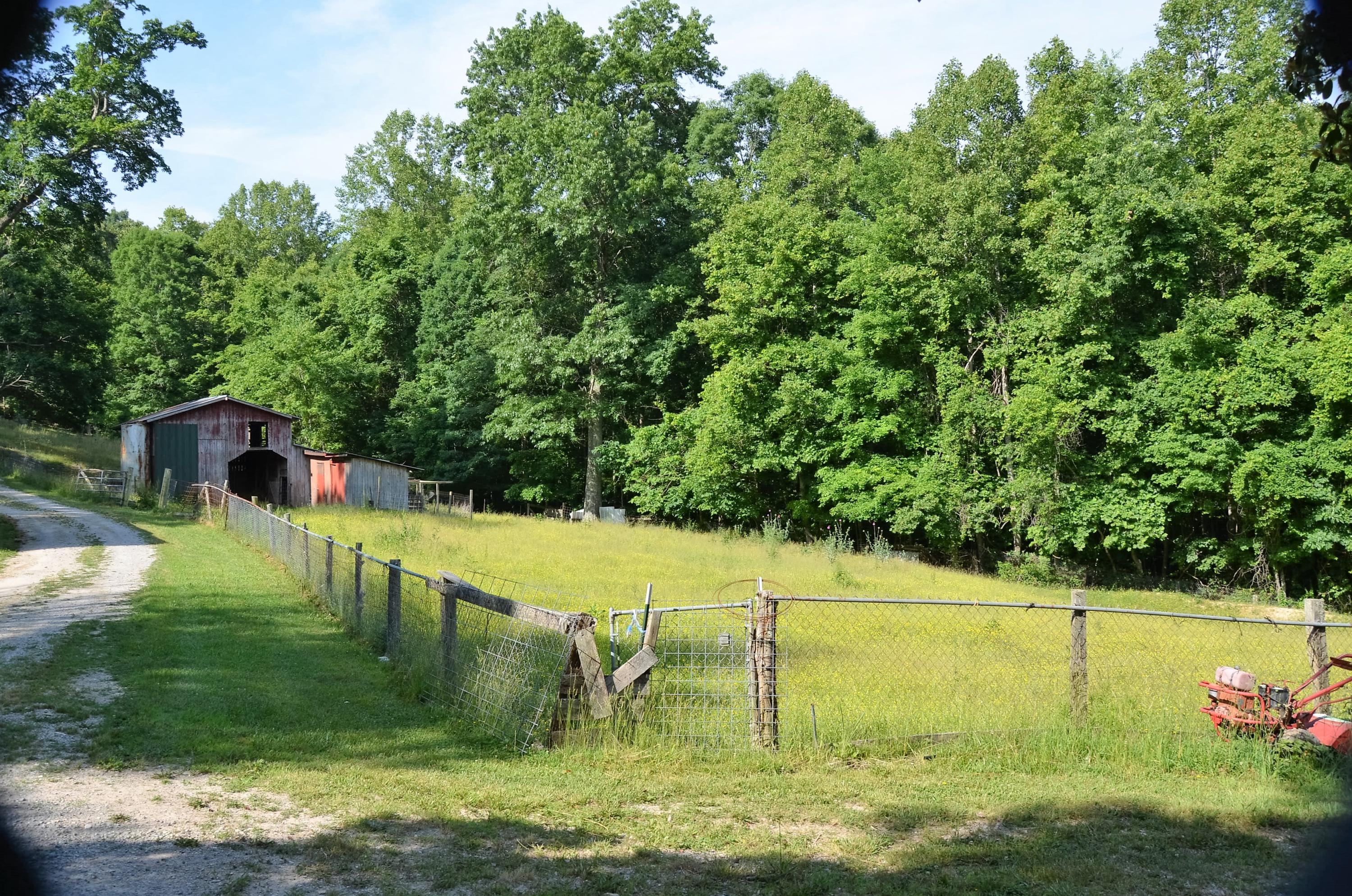 3653 Pinecrest Road Jacksboro, TN 37757 - Photo 28 of 36 DSC_3100