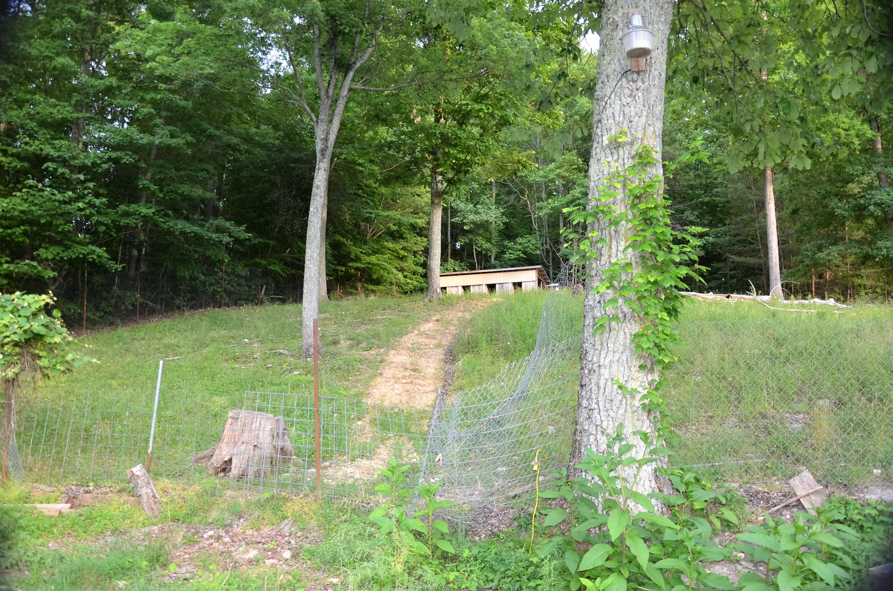 3653 Pinecrest Road Jacksboro, TN 37757 - Photo 31 of 36 DSC_3077