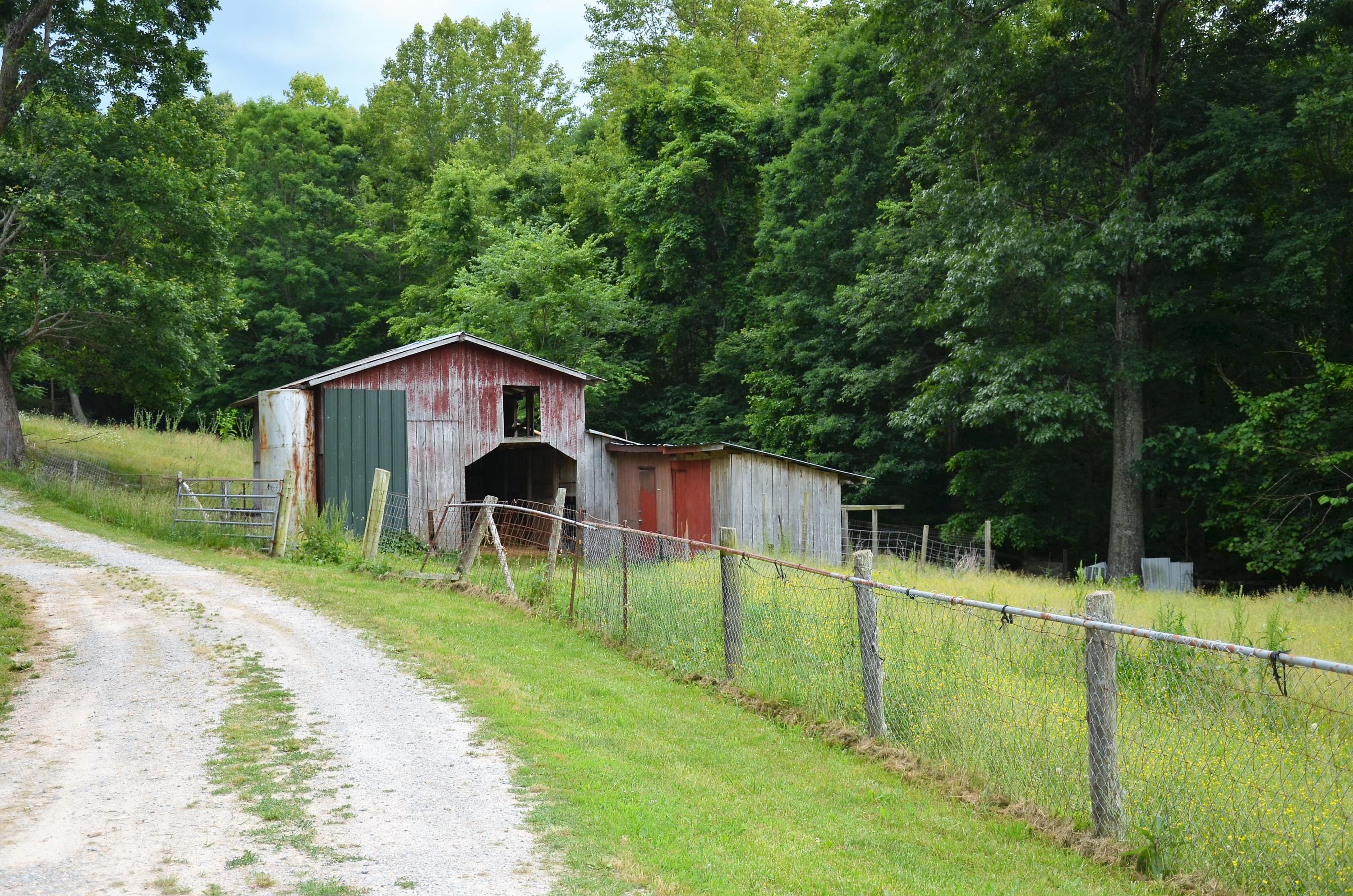 3653 Pinecrest Road Jacksboro, TN 37757 - Photo 32 of 36 DSC_3055
