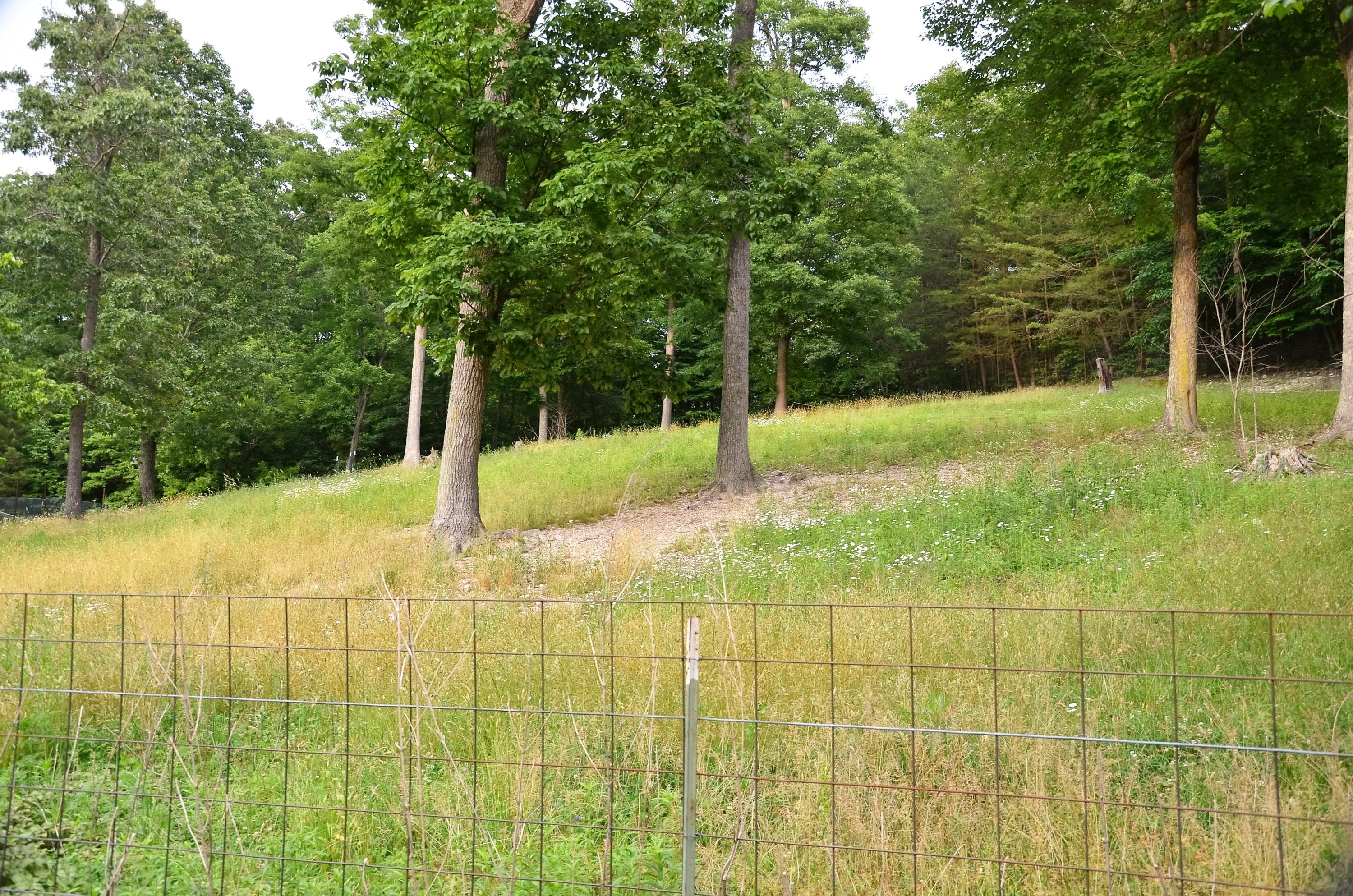 3653 Pinecrest Road Jacksboro, TN 37757 - Photo 33 of 36 DSC_3059