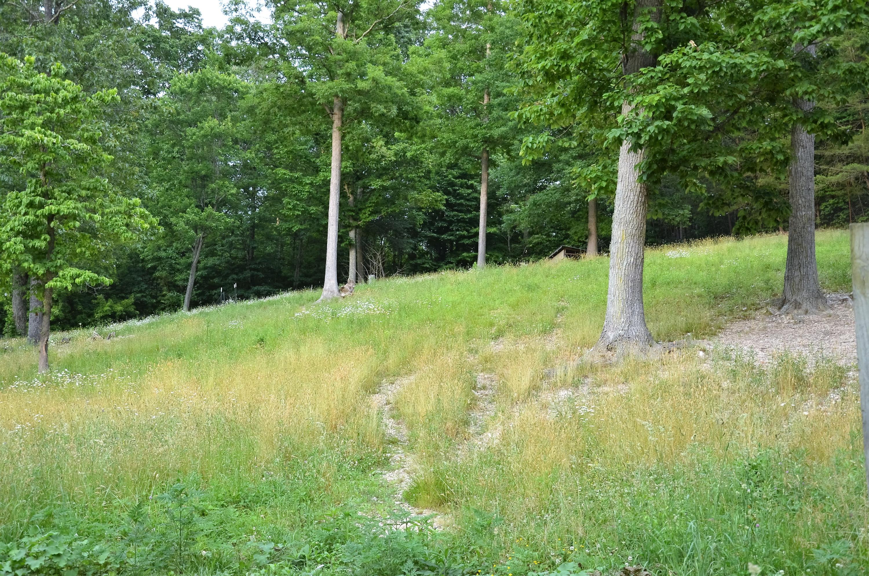 3653 Pinecrest Road Jacksboro, TN 37757 - Photo 34 of 36 DSC_3058