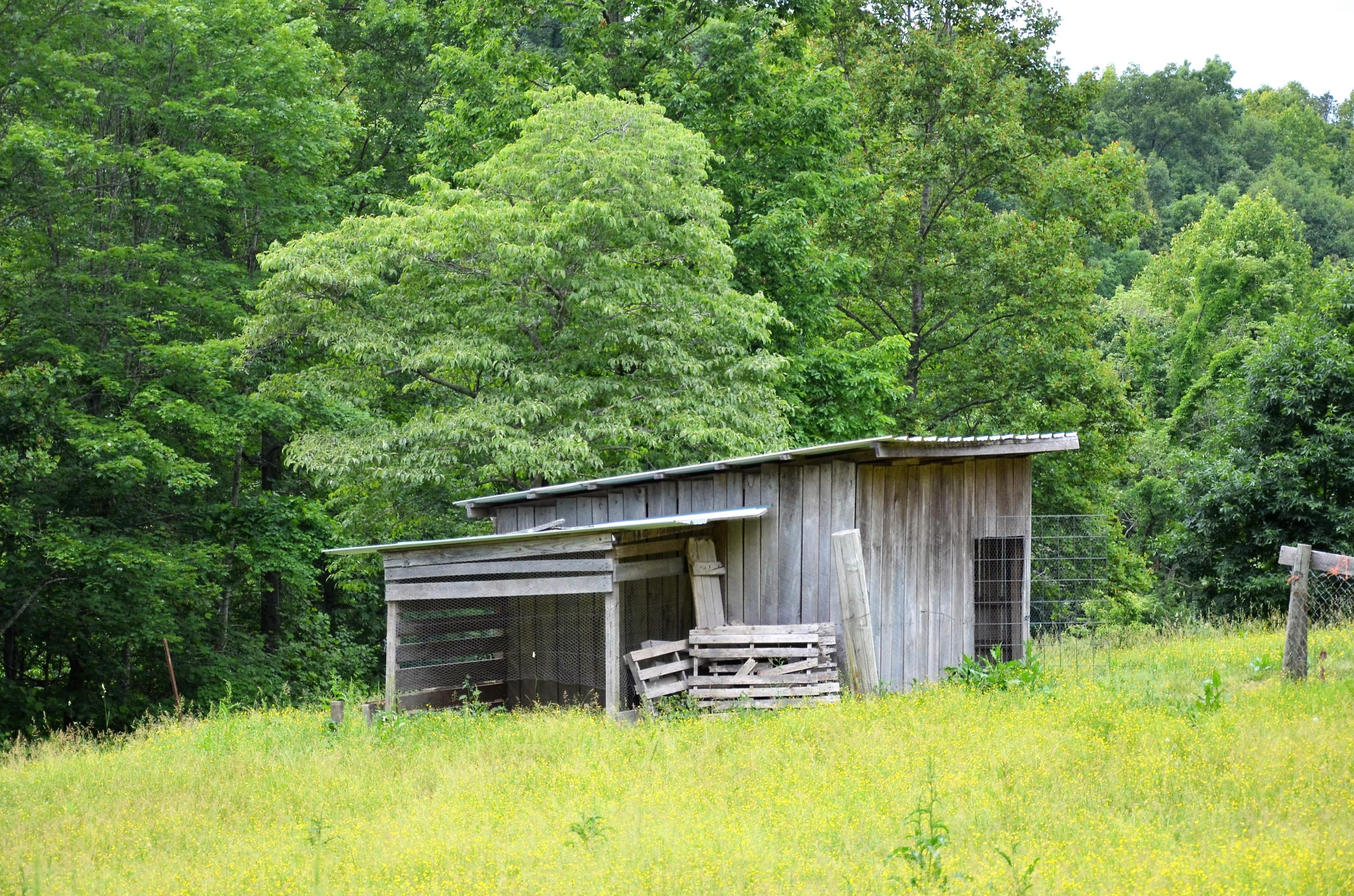 3653 Pinecrest Road Jacksboro, TN 37757 - Photo 35 of 36 DSC_3070