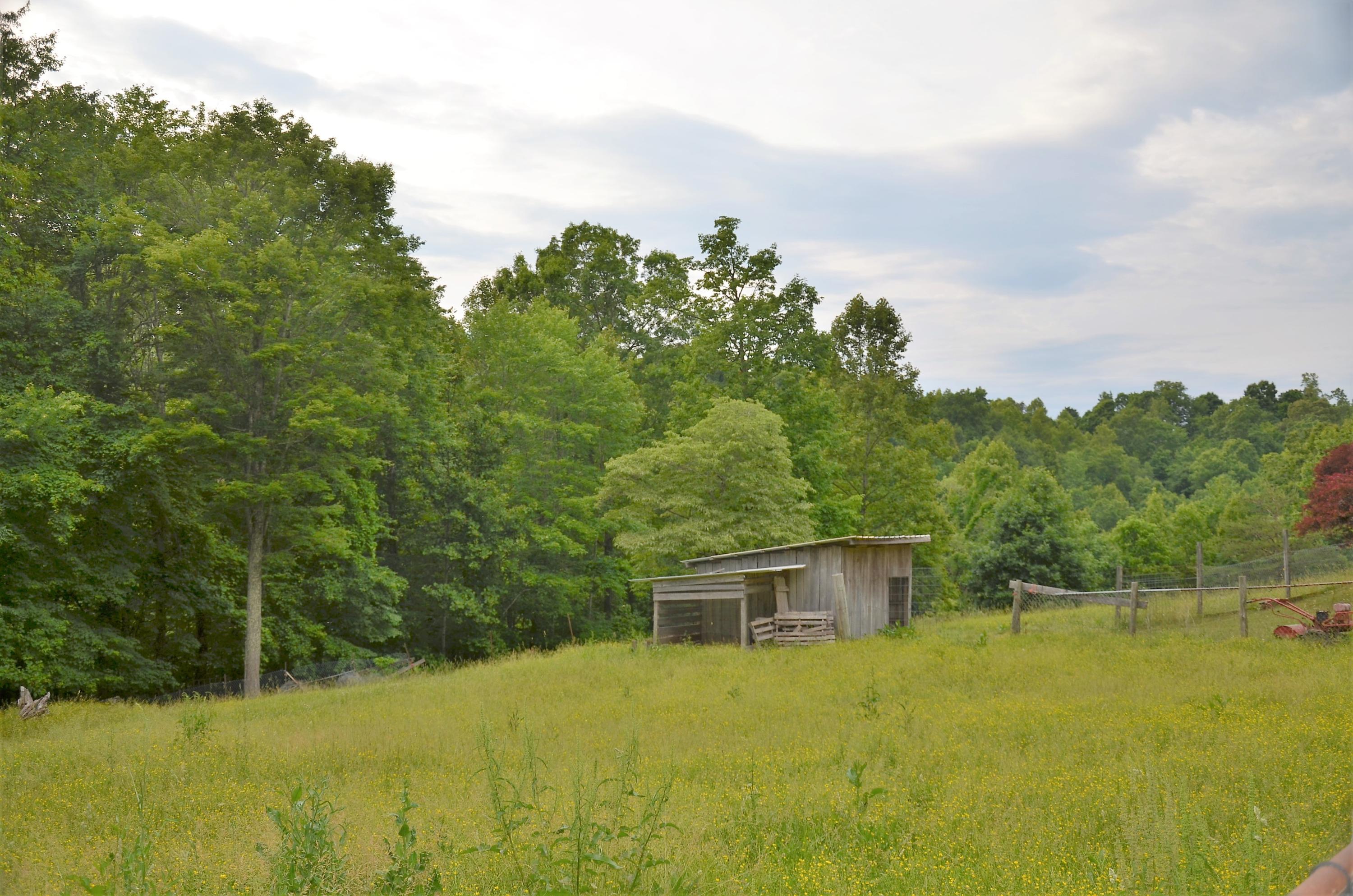 3653 Pinecrest Road Jacksboro, TN 37757 - Photo 36 of 36 DSC_3071
