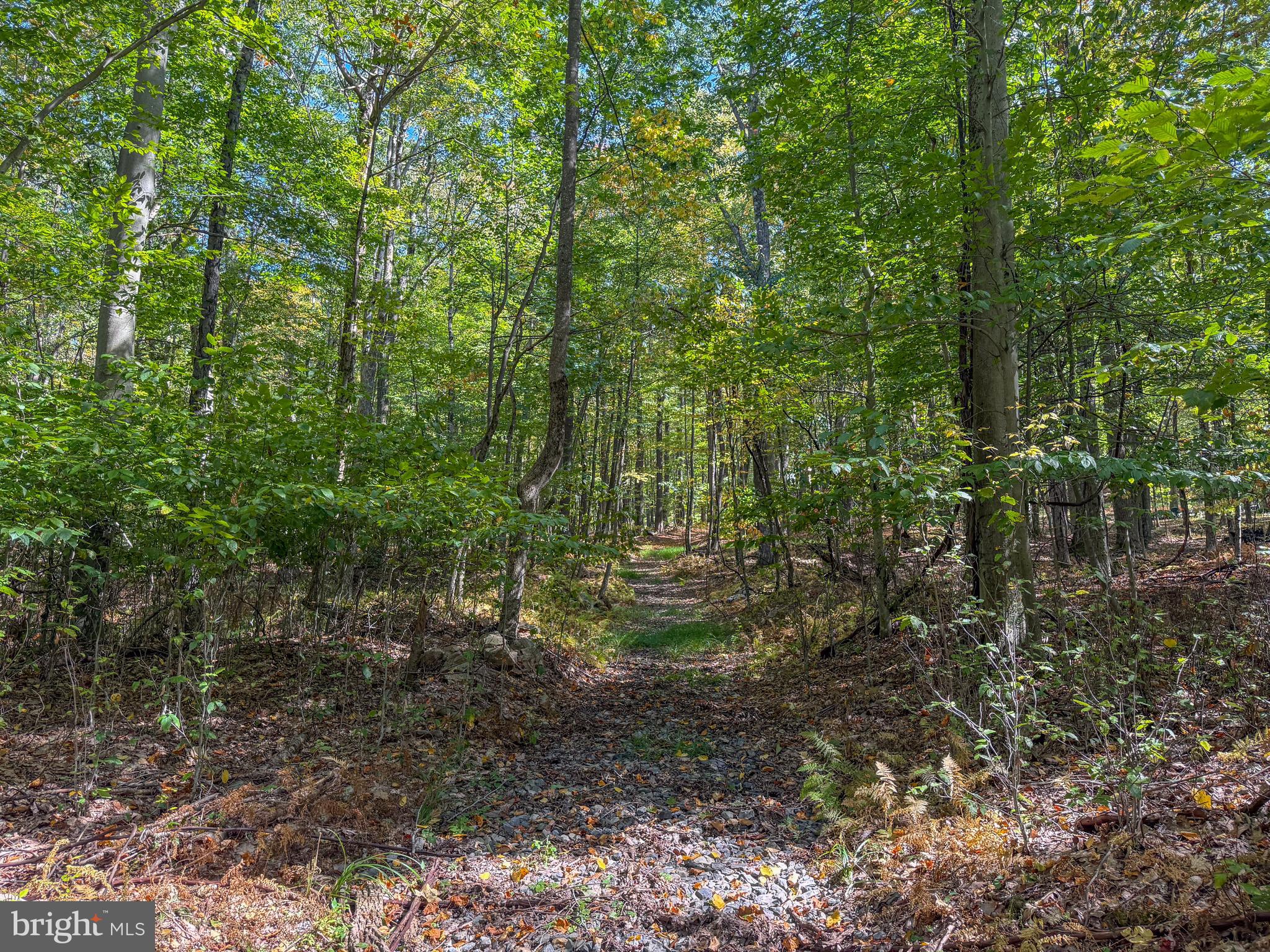 9 Timber Falls Road Oakland, MD 21550 - Photo 16 of 25