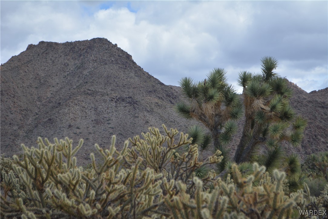 11900 Alan Road Yucca, AZ 86438 - Photo 56 of 99 Gallery Image 56