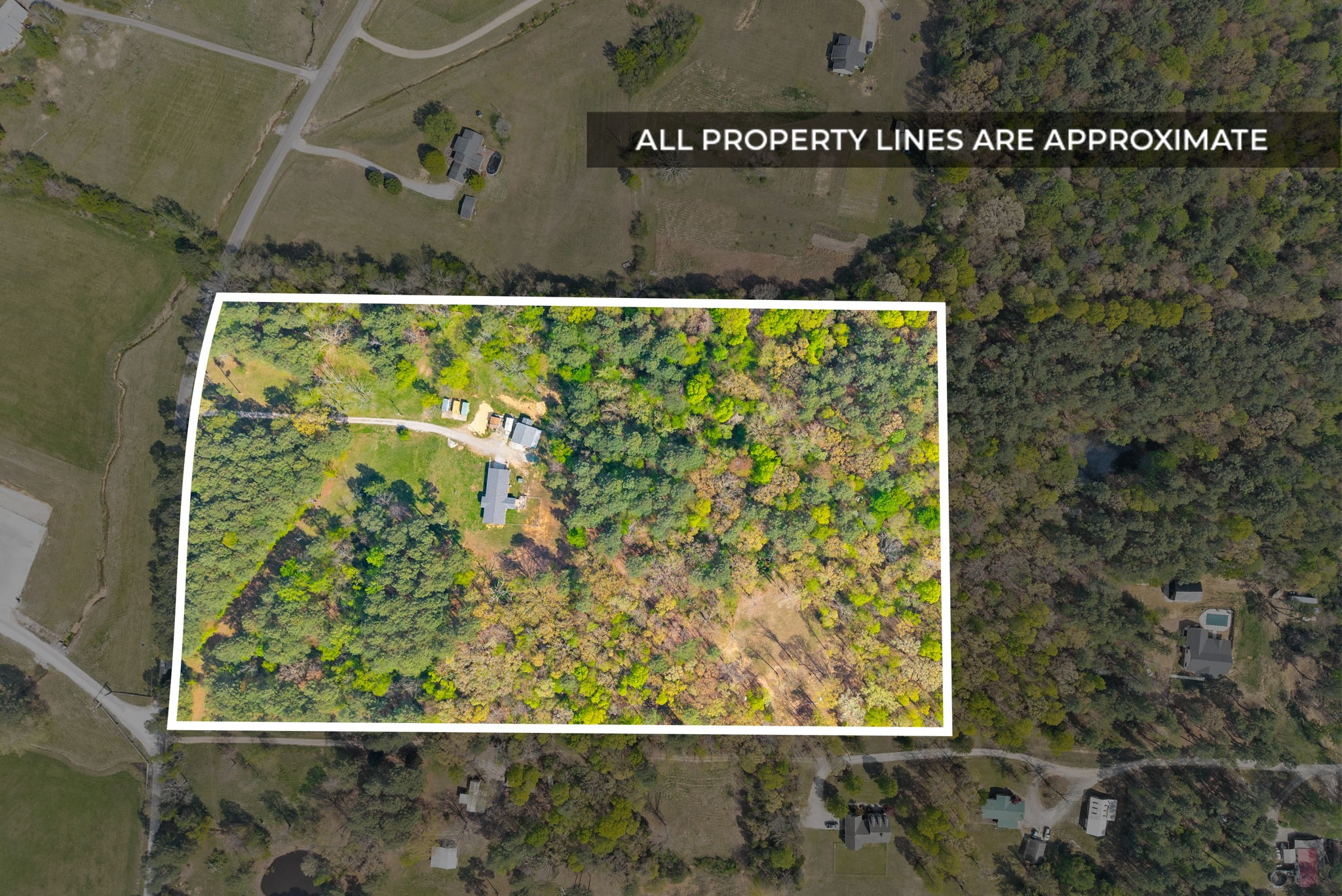 1549 Trace Creek Road McEwen, TN 37101 - Photo 3 of 44
