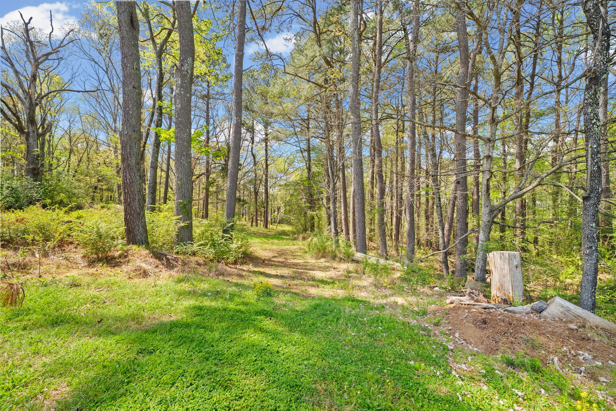 1549 Trace Creek Road McEwen, TN 37101 - Photo 34 of 44