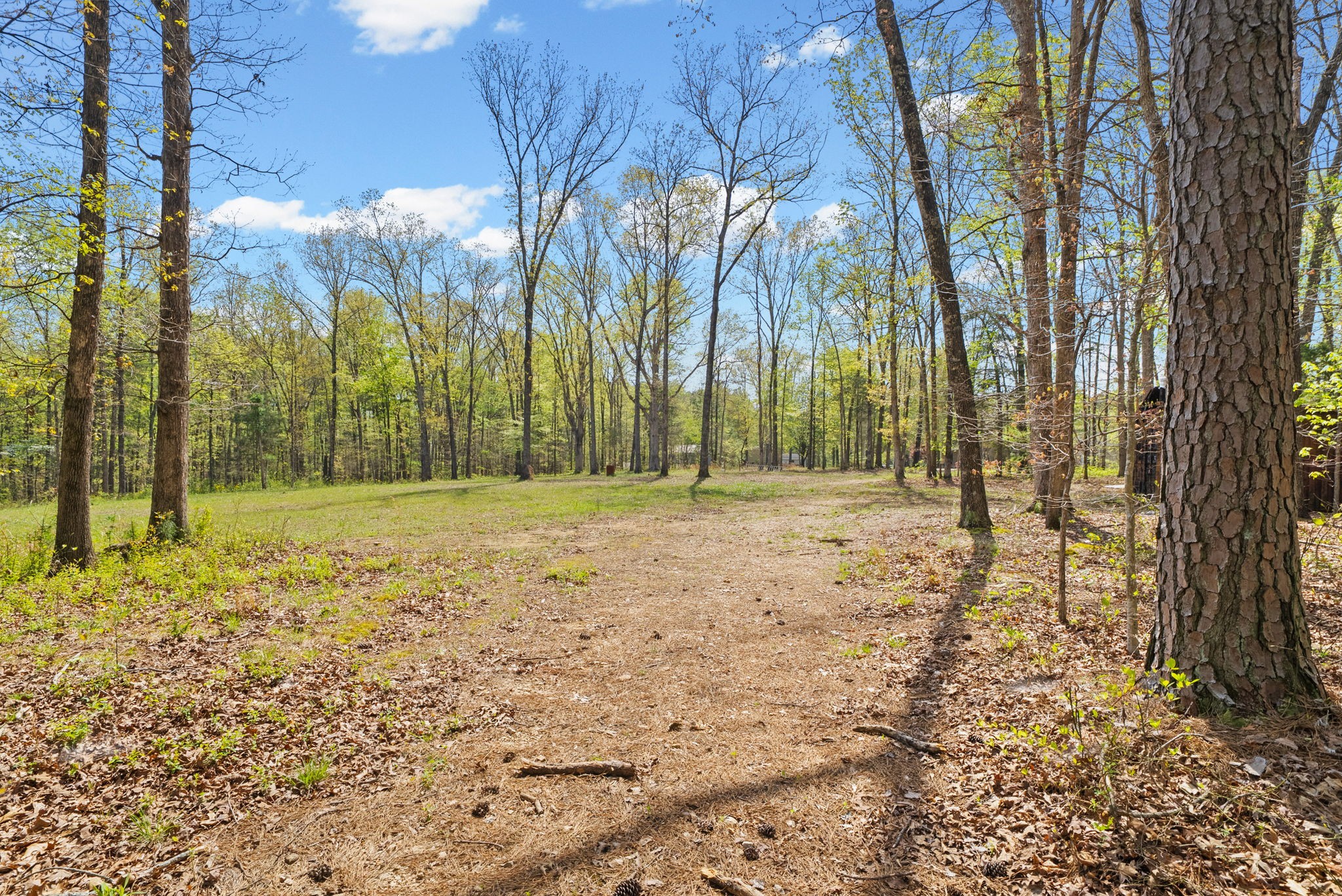 1549 Trace Creek Road McEwen, TN 37101 - Photo 35 of 44