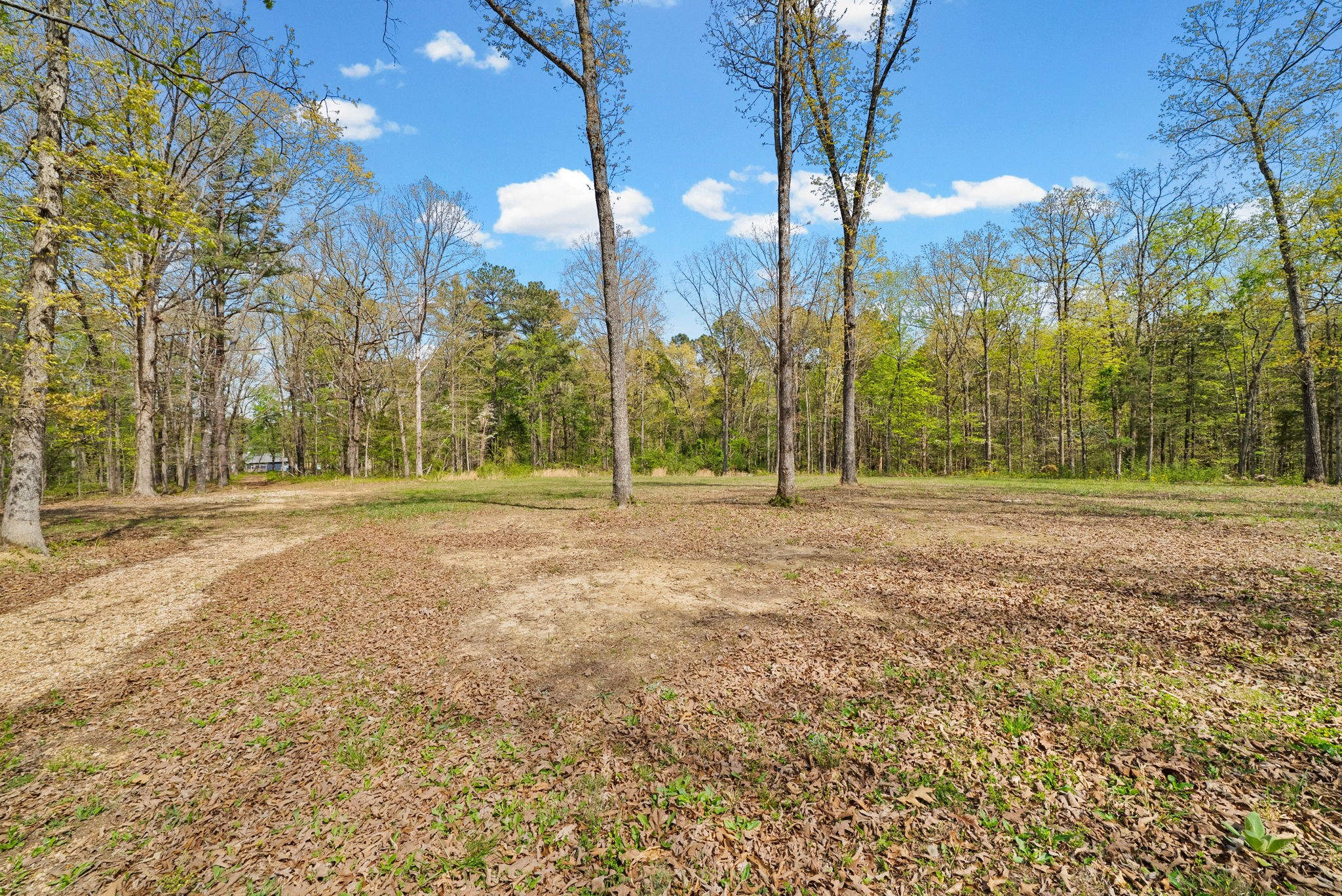 1549 Trace Creek Road McEwen, TN 37101 - Photo 37 of 44