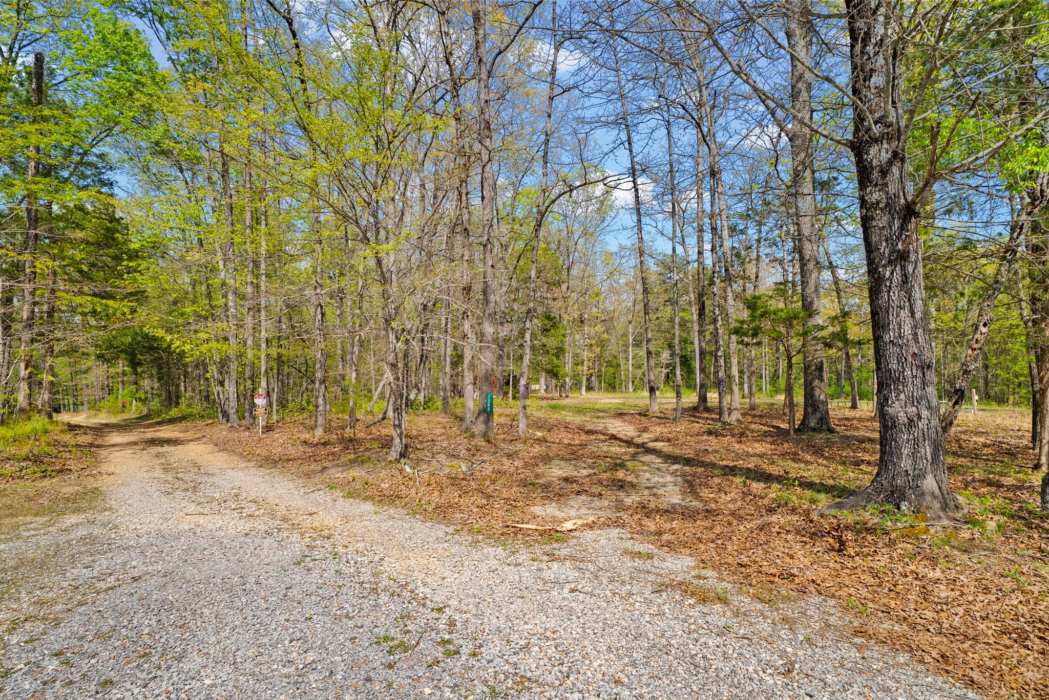 1549 Trace Creek Road McEwen, TN 37101 - Photo 38 of 44