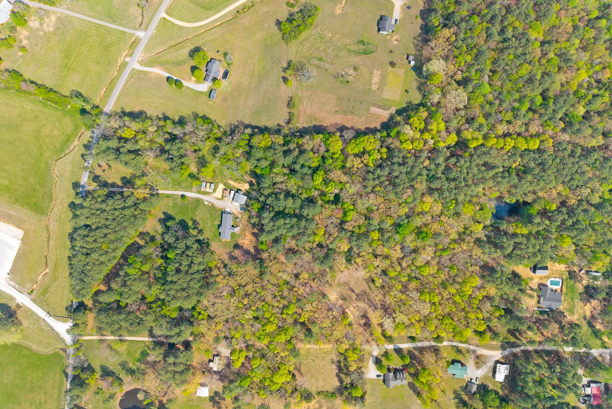 1549 Trace Creek Road McEwen, TN 37101 - Photo 39 of 44