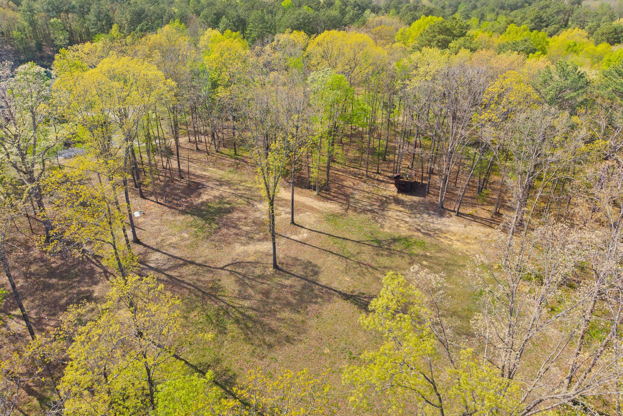 1549 Trace Creek Road McEwen, TN 37101 - Photo 40 of 44