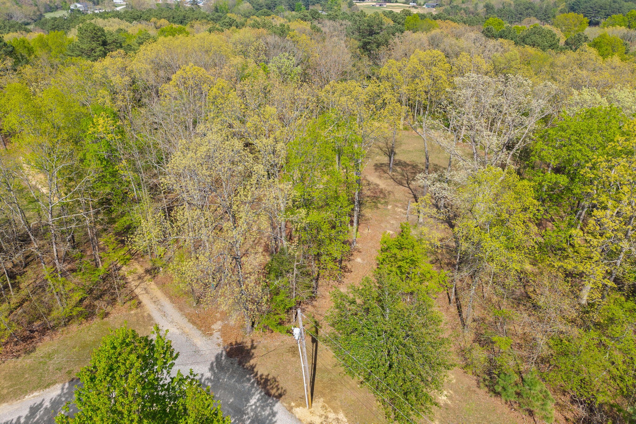 1549 Trace Creek Road McEwen, TN 37101 - Photo 42 of 44
