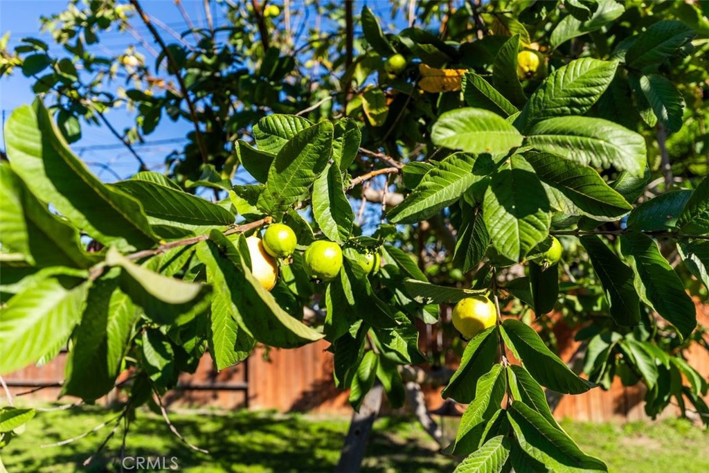 314 South Velva Place Anaheim, CA 92804 - Photo 40 of 41