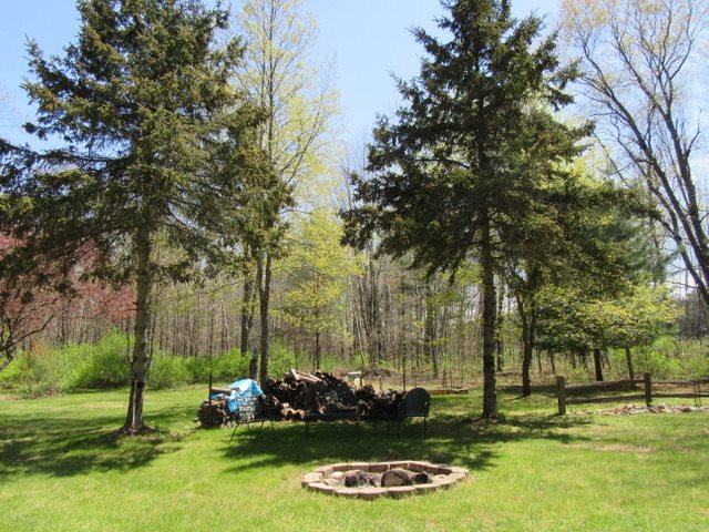 6080 North Merritt Road Merritt, MI 49667 - Photo 30 of 33 1832018-29.JPG