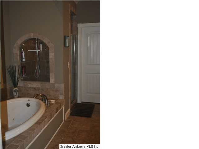 7871 Willow Drive Morris, AL 35116 - Photo 6 of 10