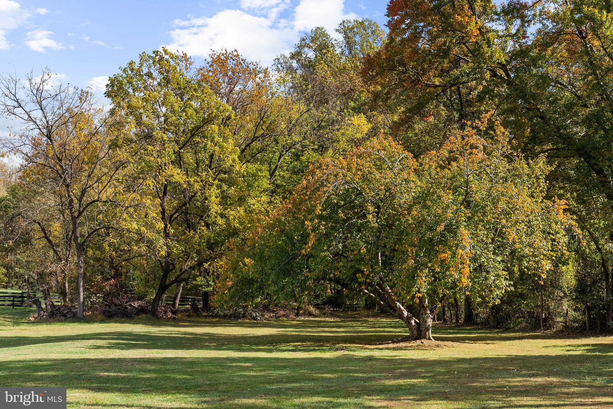 1207 Towlston Road McLean, VA 22102 - Photo 69 of 72