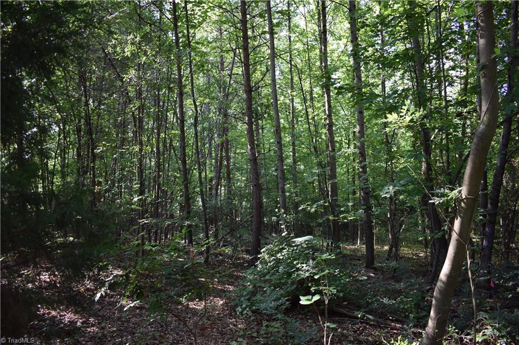 1380 Motor Road Winston-Salem, NC 27105 - Photo 6 of 6