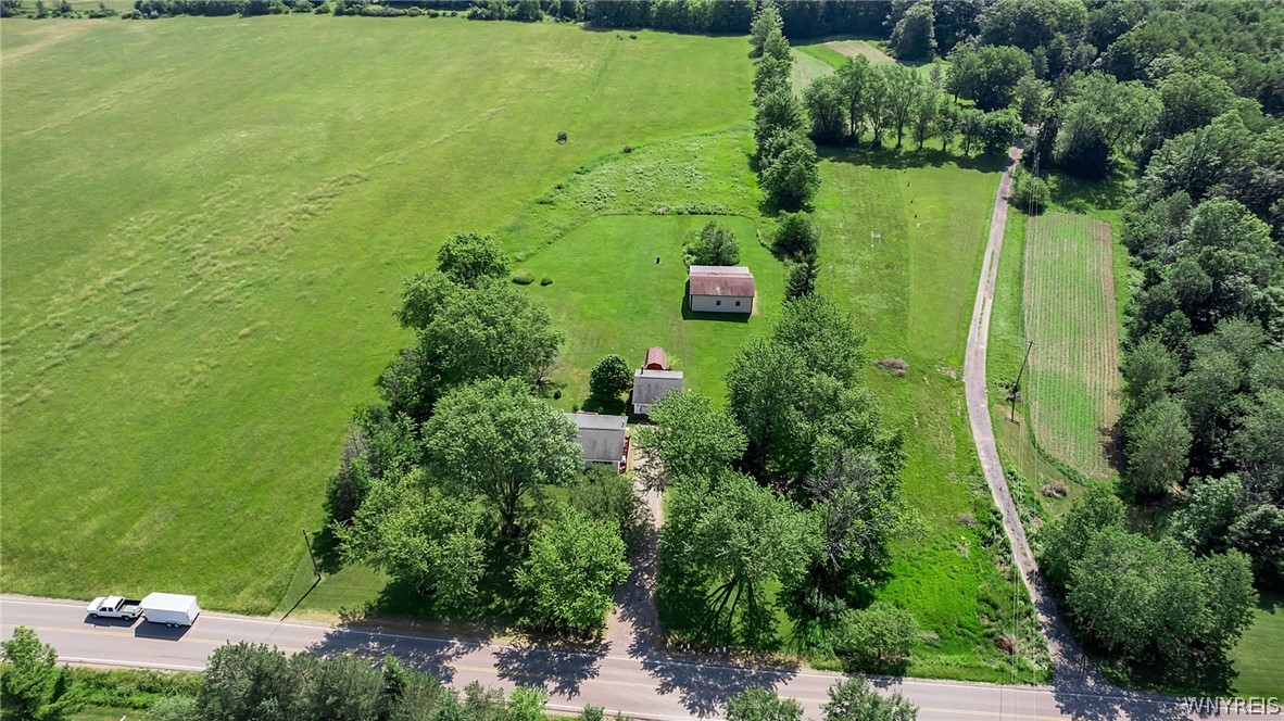 8009 Lewis Road Colden, NY 14080 - Photo 2 of 50