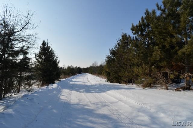 13175 Clinton Road Clinton, MI 49236 - Photo 63 of 66 31230843-62.JPG