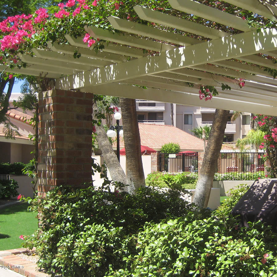 4200 North Miller Road, Unit 427 Scottsdale, AZ 85251 - Photo 26 of 51 Beautiful Courtyard