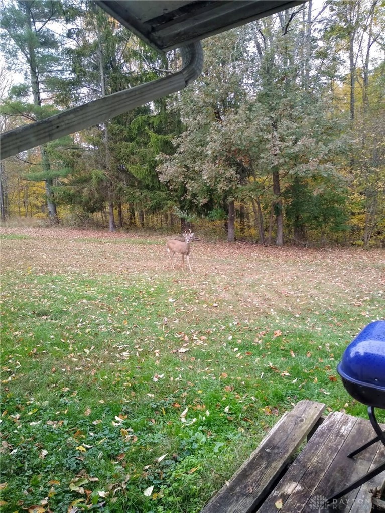 61000 Bolar Road McArthur, OH 45651 - Photo 4 of 5 Part of property behind house with deer!