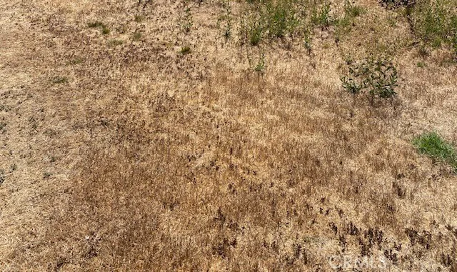 a close up of a wall