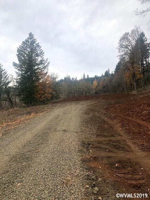 Richardson (lot 9) Road Dallas, OR 97338 - Photo 3 of 6