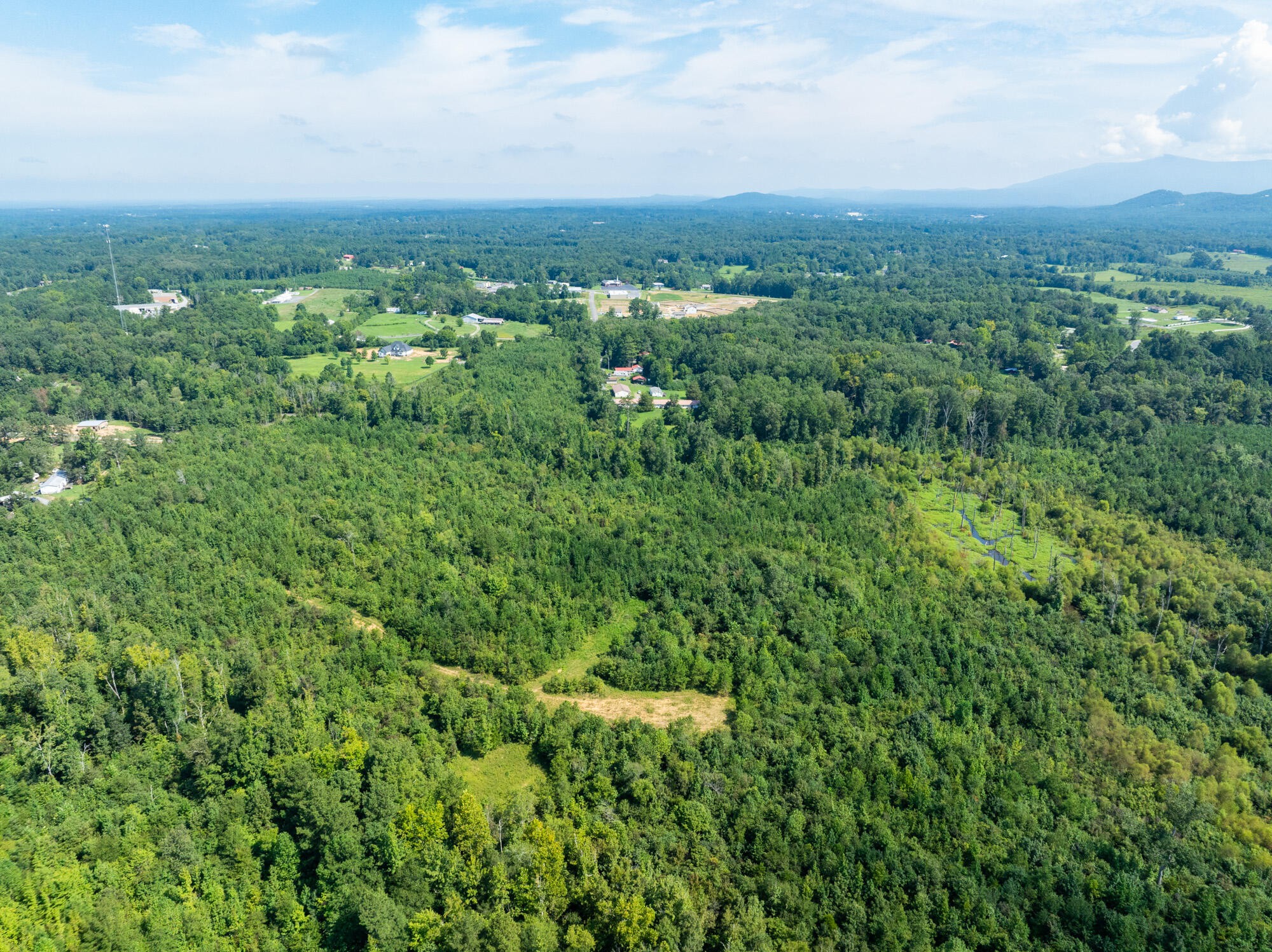 243 Wilson Road Chatsworth, GA 30705 - Photo 11 of 11 a view of a green field with lots of bushes