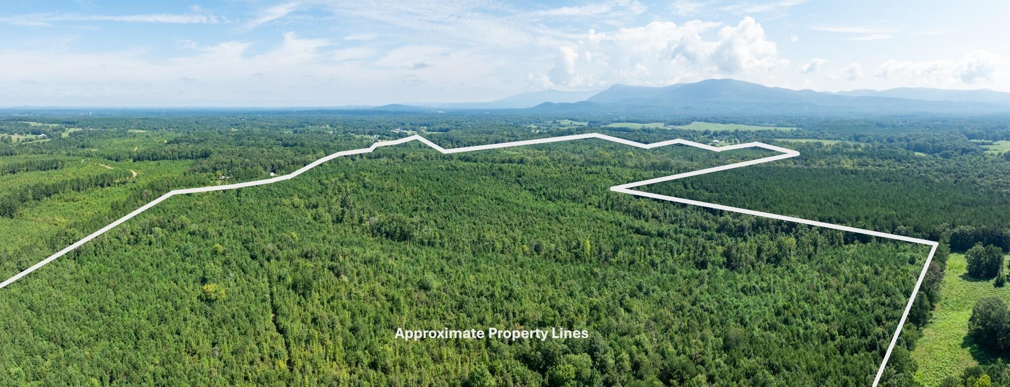 243 Wilson Road Chatsworth, GA 30705 - Photo 2 of 11 a view of a green field with lots of bushes