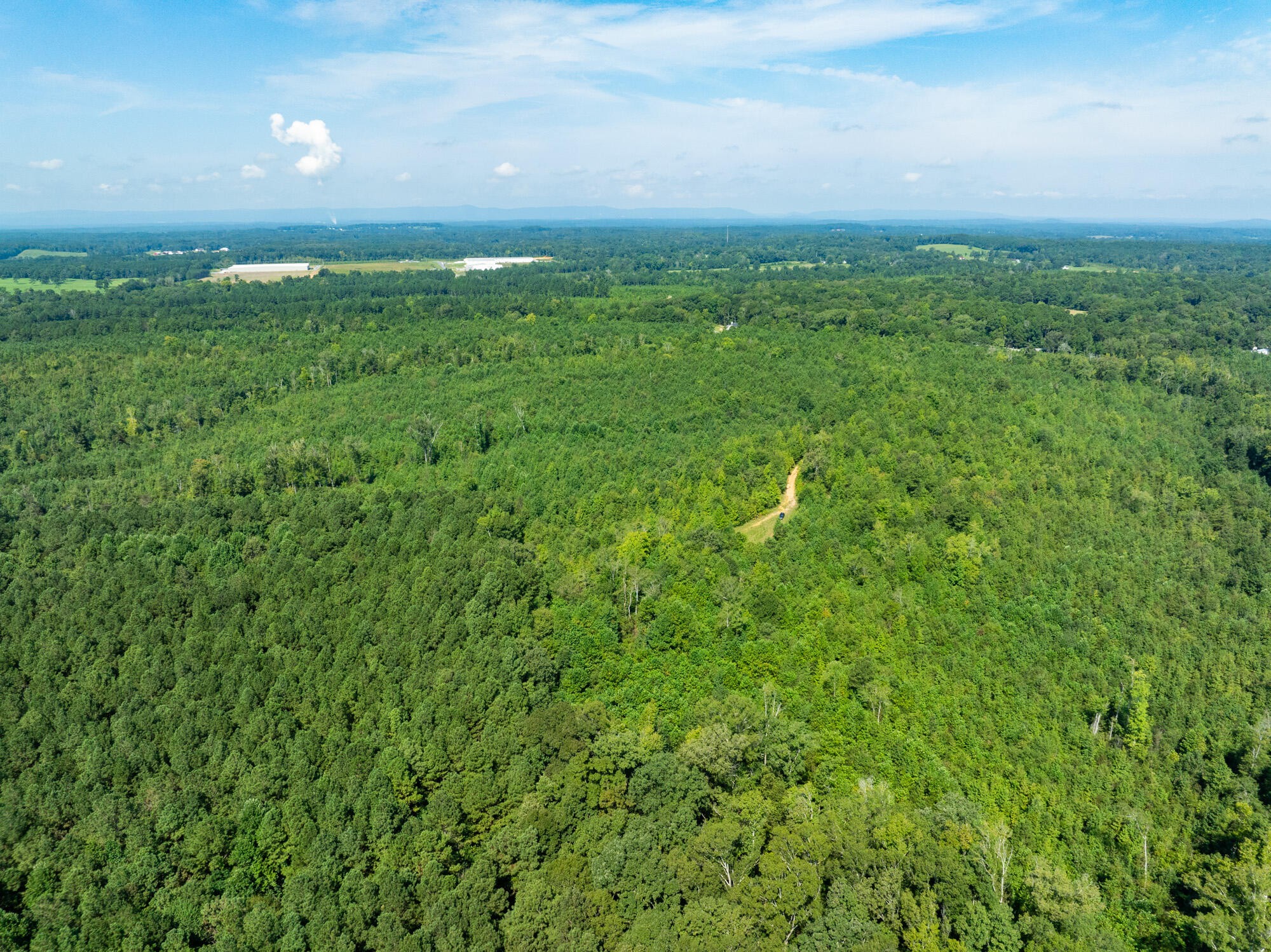 243 Wilson Road Chatsworth, GA 30705 - Photo 5 of 11 a view of yard with green space