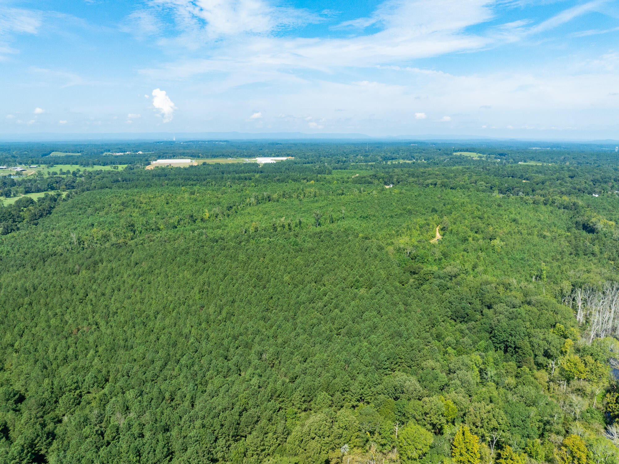 243 Wilson Road Chatsworth, GA 30705 - Photo 6 of 11 a view of yard with green space