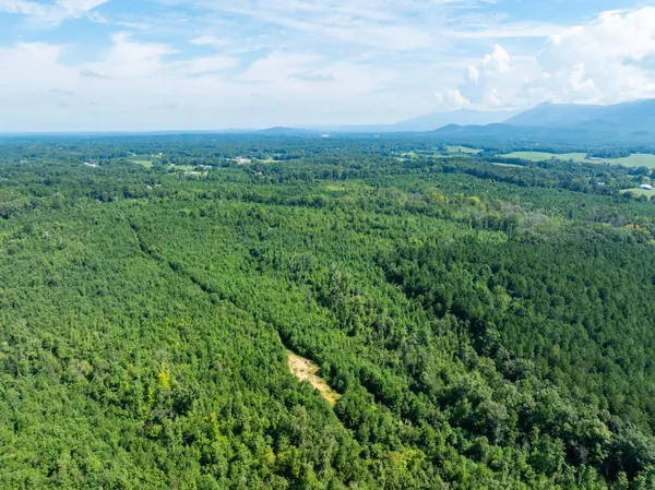 an aerial view of a city with lots of green space