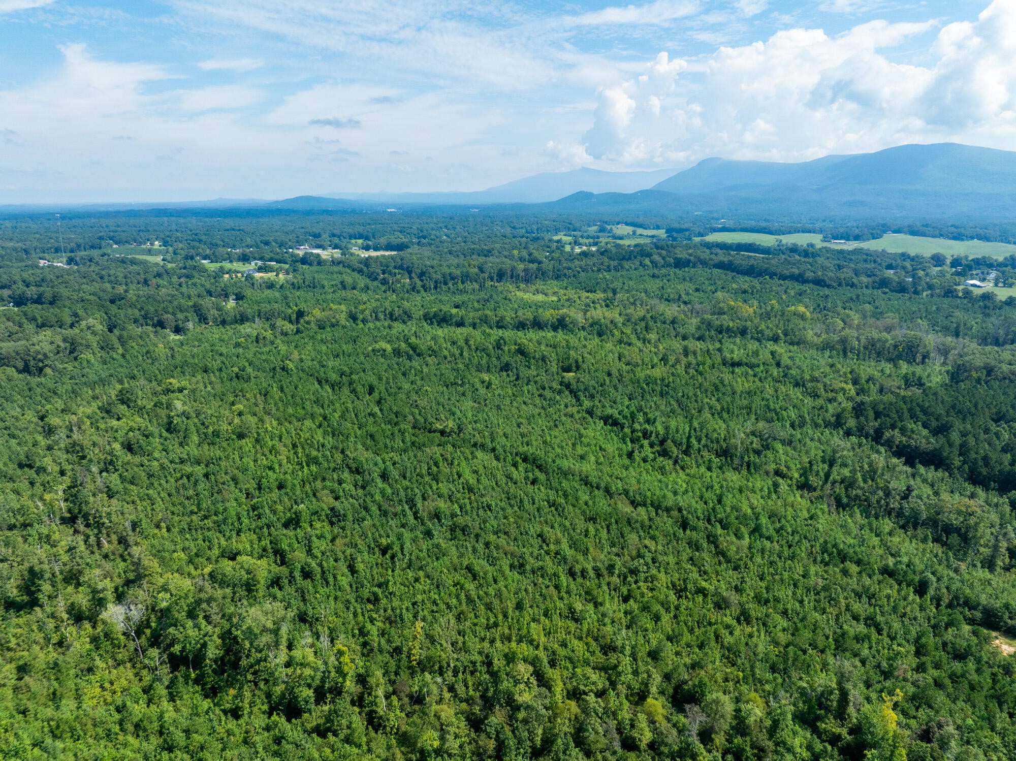 243 Wilson Road Chatsworth, GA 30705 - Photo 9 of 11 a view of a big yard with a city view