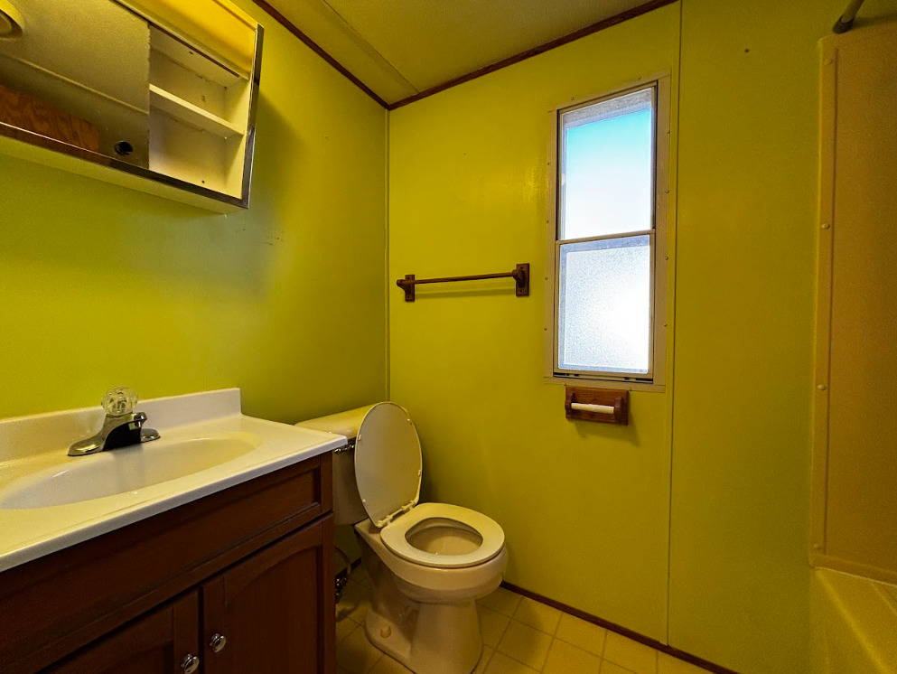 29 Pulaski Street Mahomet, IL 61853 - Photo 14 of 17 a bathroom with a sink and a toilet