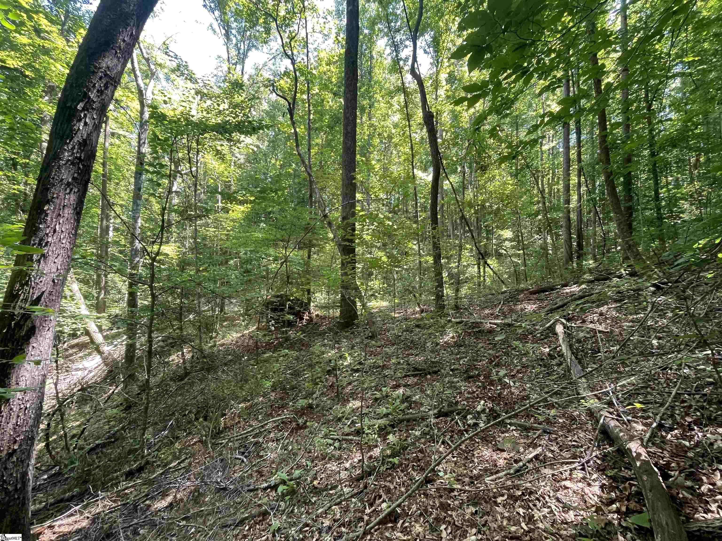 0 Nimmons Bridge Road Salem, SC 29676 - Photo 18 of 27